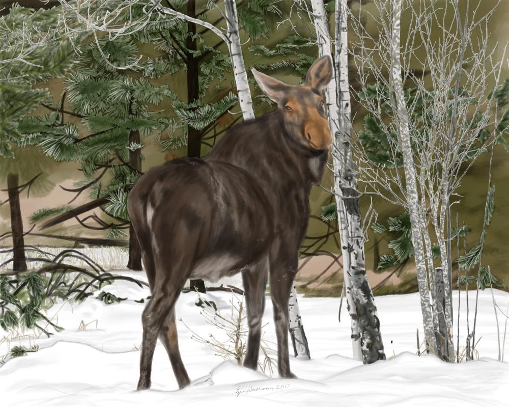 Uncle Joel's Moose