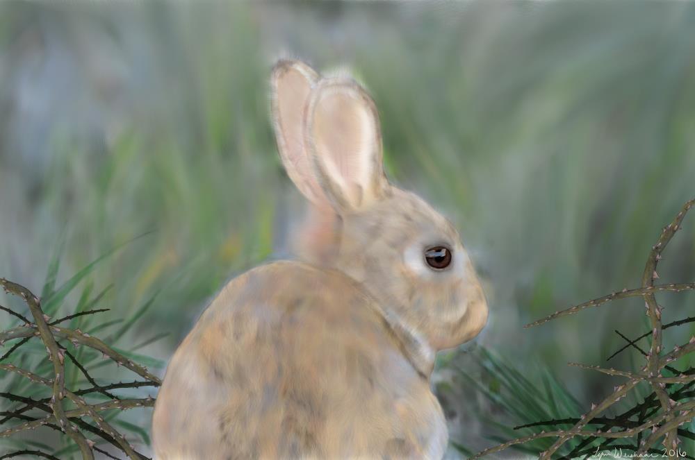 Briar Rabbit